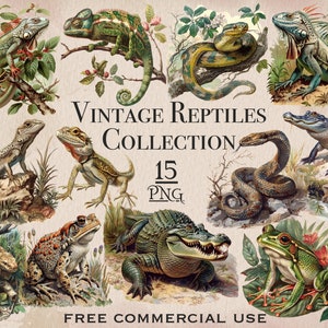 Vintage Reptiles PNG Bundle, téléchargements numériques de biologie, clipart animal vintage, clipart Nature, dessins png lézard & serpent, kit de scrapbooking