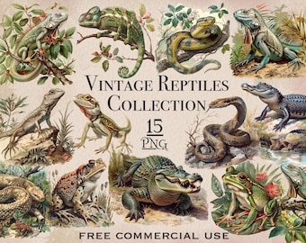 Vintage Reptiles PNG Bundle, Biology digital downloads, Vintage animal clipart, Nature clipart, Lizard & snake png designs, Scrapbooking kit