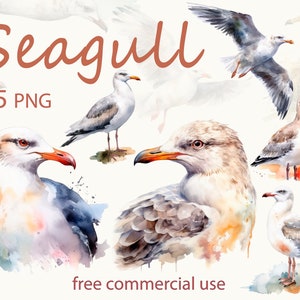 Clipart di gabbiani ad acquerello, Uccelli ad acquerello png, Sovrapposizione di gabbiani png, Dipinto di uccelli marini, Arte digitale di uccelli, Clipart ad acquerello, Amante degli uccelli