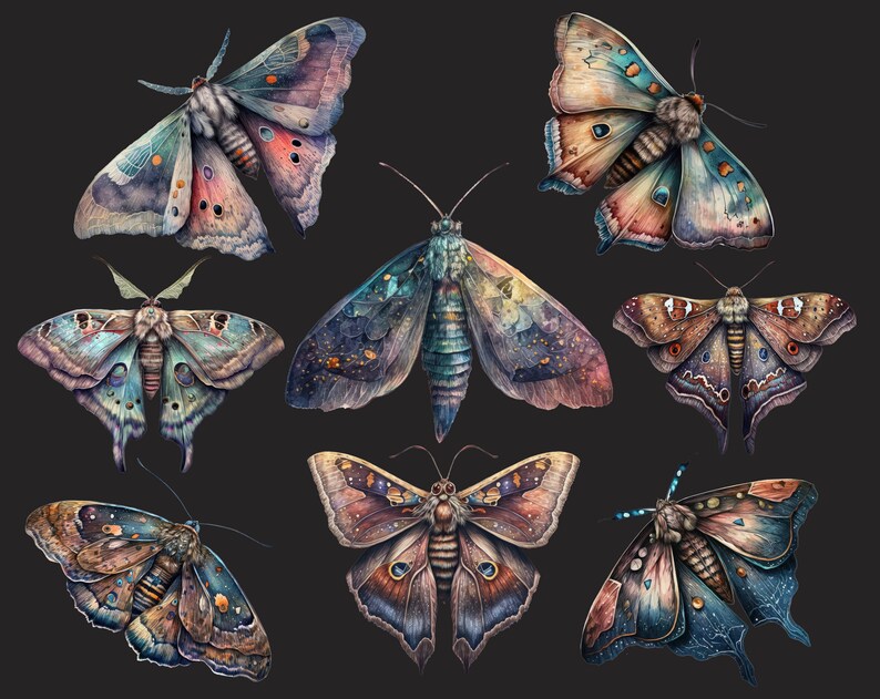 Celestial moth png, Luna moth art, Watercolor butterfly clipart, Butterfly png, Butterfly art, Watercolor clipart, Deathhead moth png image 3