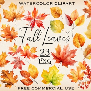 May include: Watercolor clipart of 23 fall leaves in various shades of red, orange, yellow, and green. The leaves are arranged in a random pattern on a white background. The text "Fall Leaves 23 PNG" is in the center of the image. The text "FREE COMMERCIAL USE" is at the bottom of the image.