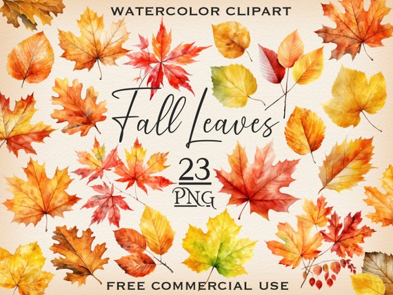 Fall leaves clipart, Watercolor autumn leaves png bundle, Overlay watercolor fall clipart for design & collage, Free commercial use