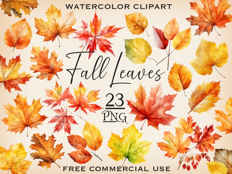 May include: Watercolor clipart of 23 fall leaves in various shades of red, orange, yellow, and green. The leaves are arranged in a random pattern on a white background. The text "Fall Leaves 23 PNG" is in the center of the image. The text "FREE COMMERCIAL USE" is at the bottom of the image.