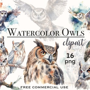 Aquarell Eule png, gehörnte Eulen Bündel, Aquarell Clipart, fliegende Vögel png, Raubvögel png, Eulenliebhaber png, Aquarell Vögel png