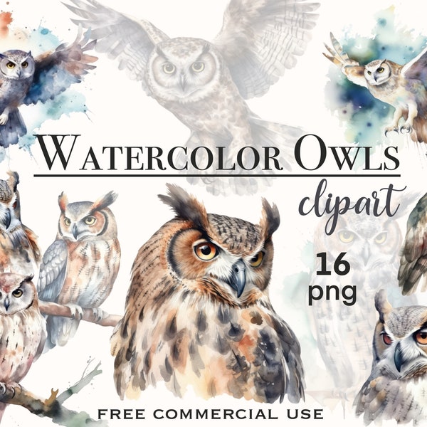 Watercolor owl png, Horned owl bundle, Watercolor clipart, Flying birds clipart, Birds of prey png, Owl lover clipart, Watercolor birds png