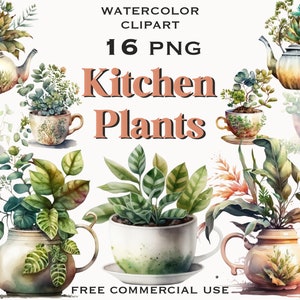 Küchen Pflanzen Clipart, Aquarell Grün Clipart, Topfpflanzen png, Tropische Blätter png, Philodendron png, Zimmerpflanzen florales Clipart