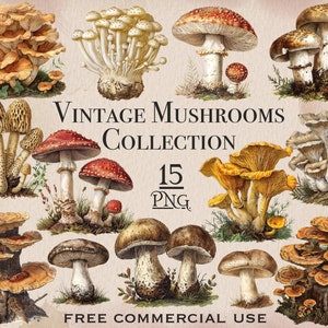 lot de PNG champignon vintage, clipart champignons vintage, art numérique mycologie, téléchargements numériques png à usage commercial, illustration de la biologie