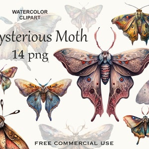Luna Motte Kunst, himmlische Motte png, Aquarell Schmetterling Clipart, Schmetterling png, Schmetterling Kunst, Mondmotte Bild, Deathhead Motte png