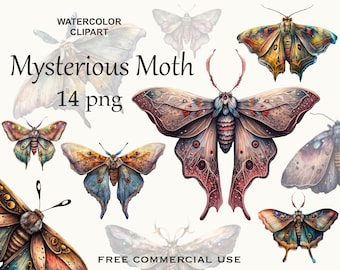 Luna moth art, Celestial moth png, Watercolor butterfly clipart, Butterfly png, Butterfly art, Lunar moth picture, Deathhead moth png