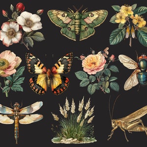 Pu&ograve; includere: Un'illustrazione vintage con una variet&agrave; di insetti e fiori. Gli insetti includono una libellula, una falena, una farfalla, un grillo e una mosca. I fiori includono una rosa, un papavero e un fiore selvatico.