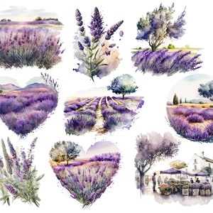Puede incluir: Ilustraciones de acuarela de campos de lavanda en varios escenarios. Algunas escenas presentan un solo &aacute;rbol, mientras que otras representan un campo en forma de coraz&oacute;n, una escena de mercado y un campo con un camino que lo atraviesa.
