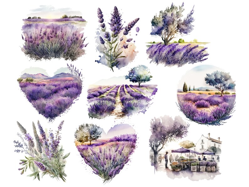 Puede incluir: Ilustraciones de acuarela de campos de lavanda en varios escenarios. Algunas escenas presentan un solo &aacute;rbol, mientras que otras representan un campo en forma de coraz&oacute;n, una escena de mercado y un campo con un camino que lo atraviesa.