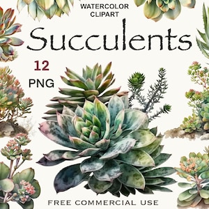 Aquarelle succulente clipart, png succulentes, clipart aquarelle, clipart botanique, clipart plante, clipart floral, fleur aquarelle