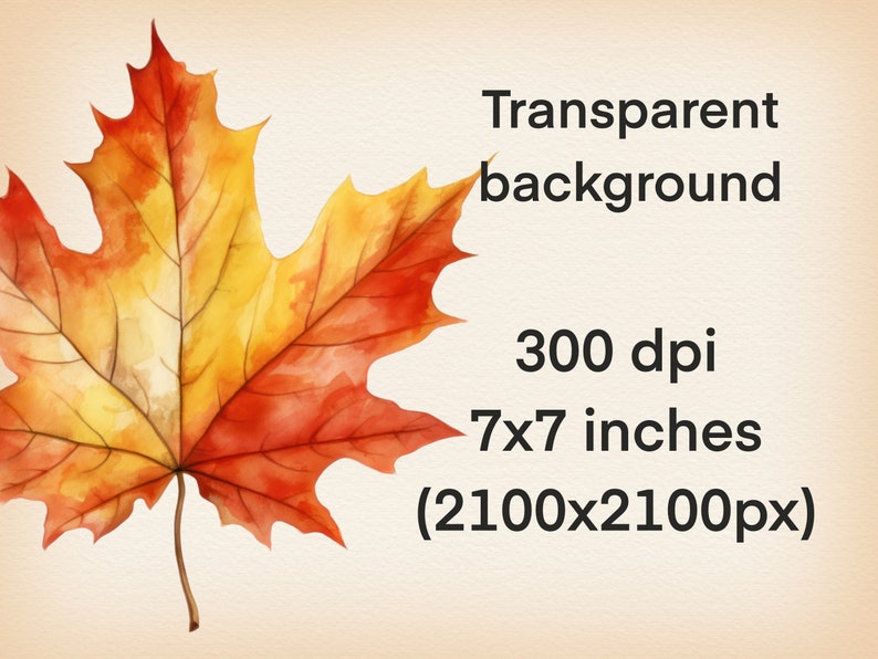 May include: A single red, orange, and yellow maple leaf with visible veins. The leaf is isolated on a transparent background. The image is 7x7 inches and 300 dpi.