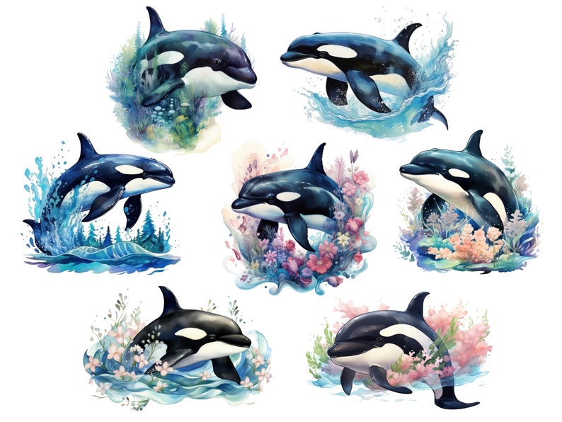 May include: A digital illustration of eight black and white orcas jumping out of the water. Each orca is surrounded by a watercolor background of flowers, water, and foliage.