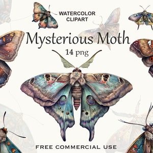 Himmlische Motte png, Luna Motte Kunst, Aquarell Schmetterling Clipart, Schmetterling png, Schmetterling Kunst, Aquarell Clipart, Deathhead Motte png