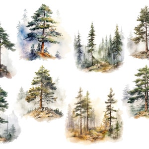 Peut inclure: Peinture &agrave; l'aquarelle de huit sc&egrave;nes diff&eacute;rentes mettant en sc&egrave;ne des pins dans un environnement forestier. Les arbres sont repr&eacute;sent&eacute;s dans diff&eacute;rentes nuances de vert, certaines sc&egrave;nes montrant un fond brumeux.