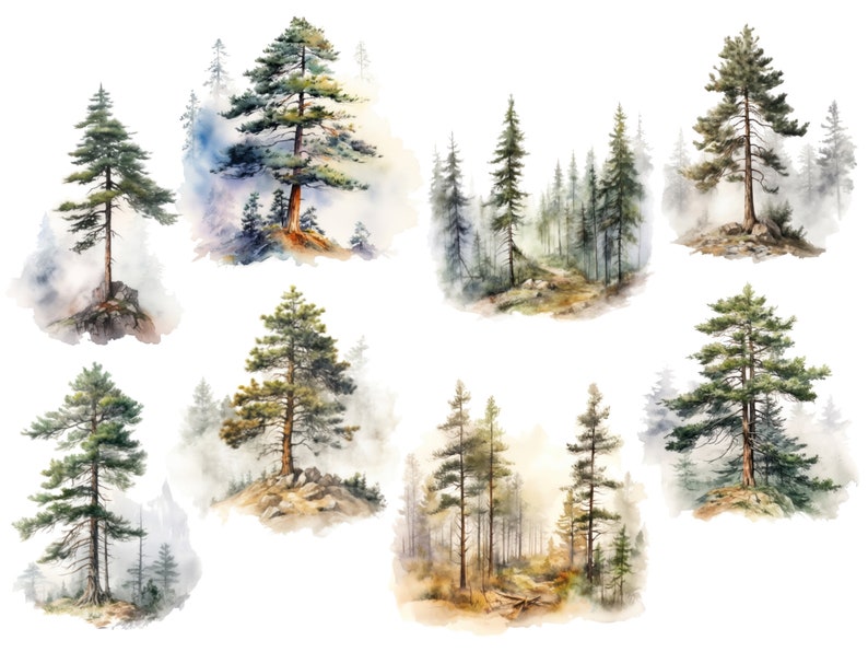 Peut inclure: Peinture &agrave; l'aquarelle de huit sc&egrave;nes diff&eacute;rentes mettant en sc&egrave;ne des pins dans un environnement forestier. Les arbres sont repr&eacute;sent&eacute;s dans diff&eacute;rentes nuances de vert, certaines sc&egrave;nes montrant un fond brumeux.