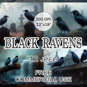 Black Raven-clipart, donkere esthetische kraaienbundel, mystieke landschapsafbeeldingen, gotische vogels Halloween-kunst voor collage enz., gratis commercieel gebruik
