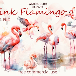 Pink flamingo clipart, Pink flamingo png, Watercolor birds png, Pink flamingo art, Pink watercolor png, Pink bird clipart, Flamingos png