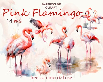 Akwarela z różowym flamingiem: 14 grafik PNG z ptakami (pobieranie cyfrowe)