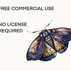 Celestial moth png, Luna moth art, Watercolor butterfly clipart, Butterfly png, Butterfly art, Watercolor clipart, Deathhead moth png image 7