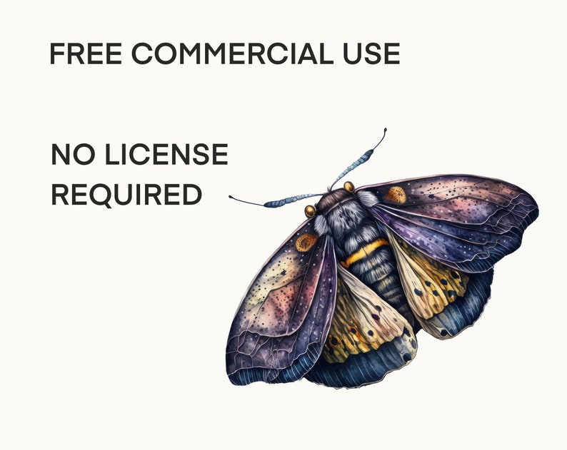 Celestial moth png, Luna moth art, Watercolor butterfly clipart, Butterfly png, Butterfly art, Watercolor clipart, Deathhead moth png image 7