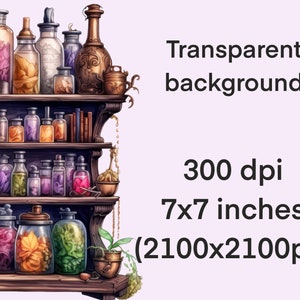 May include: A wooden shelf with three tiers filled with glass bottles containing colourful liquids and dried flowers. The bottles are various shapes and sizes, and some have cork stoppers. The shelf is decorated with a few small plants and a hanging chain.