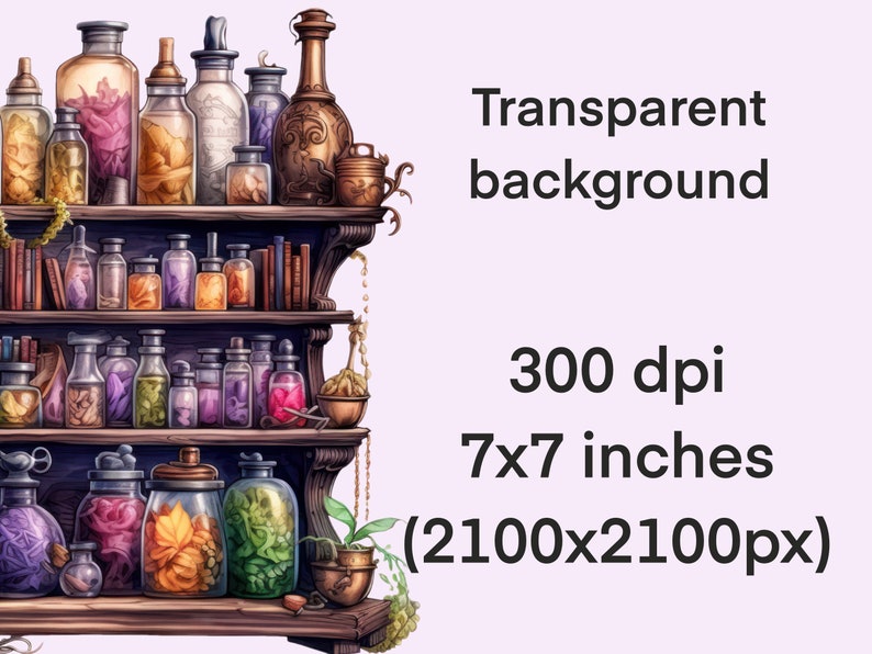 May include: A wooden shelf with three tiers filled with glass bottles containing colourful liquids and dried flowers. The bottles are various shapes and sizes, and some have cork stoppers. The shelf is decorated with a few small plants and a hanging chain.