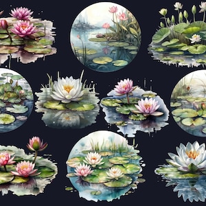 Pu&ograve; includere: Una collezione di dieci illustrazioni ad acquerello con ninfee rosa e bianche con foglie di ninfea verdi in uno stagno. Le illustrazioni sono su uno sfondo blu scuro.