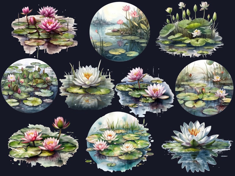 Pu&ograve; includere: Una collezione di dieci illustrazioni ad acquerello con ninfee rosa e bianche con foglie di ninfea verdi in uno stagno. Le illustrazioni sono su uno sfondo blu scuro.