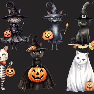 May include: A set of seven Halloween-themed illustrations featuring black cats dressed as witches and ghosts, holding jack-o'-lanterns. The illustrations are painted in a watercolor style.