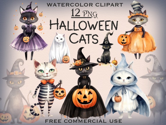 Halloween cat png bundle, Spooky cat lover clipart, Fall cats fantasy clipart, Watercolor pumpkin cute animal clipart, Free commercial use