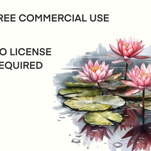 Pu&ograve; includere: Dipinto ad acquerello di tre ninfee rosa con foglie di ninfea verdi in uno stagno. Il testo "FREE COMMERCIAL USE NO LICENSE REQUIRED" &egrave; nell'angolo in alto a sinistra dell'immagine.