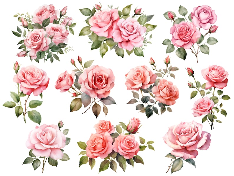 Pink Roses PNG Bundle, Watercolor Flowers Clipart, Floral Wreath Png ...