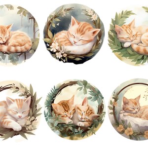 Puede incluir: Seis ilustraciones de gatos atigrados naranjas durmiendo en diferentes poses. Cada gato est&aacute; rodeado de una corona de hojas y flores. Los gatos duermen pl&aacute;cidamente en una variedad de posiciones.