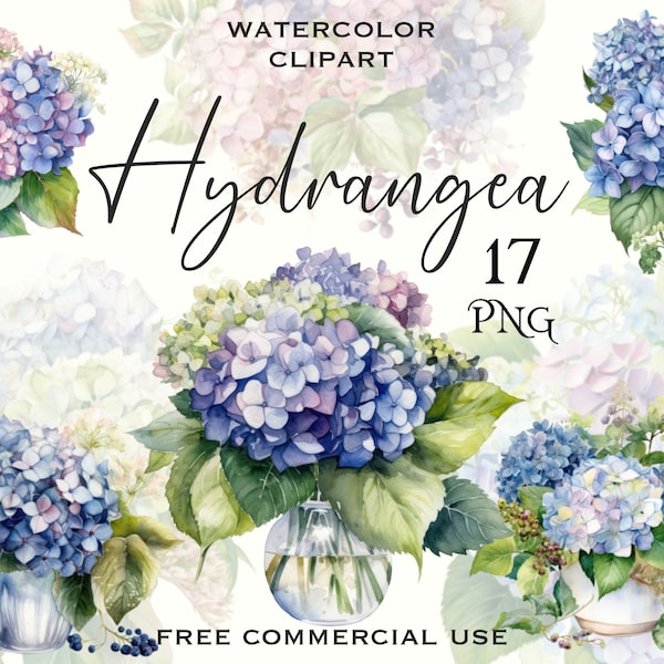 Watercolor Blue Hydrangea clipart, Digital flower painting png bundle, Flowers images for design, scrapbooking etc., Free commercial use