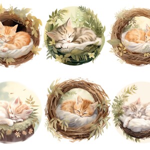 Puede incluir: Seis ilustraciones de gatitos durmiendo en nidos hechos de ramitas y hojas. Los gatitos son de varios colores, incluyendo naranja, blanco y atigrado. Los nidos est&aacute;n rodeados de hojas verdes y flores.