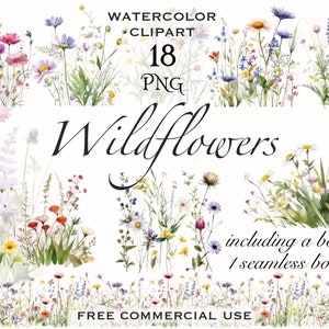 Wildflower meadow clipart, Summer floral nature images, Wild flowers png for print, collage, scrapbook, junk journal etc Free commercial use