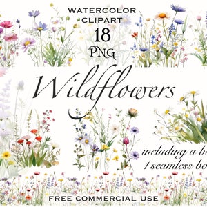 Wildblumen Wiese Clipart, Sommer Blumen Natur Bilder, Wildblumen Png für Druck, Collage, Scrapbook, Junk Journal usw