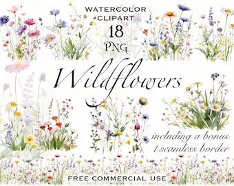 Clipart wilde bloemenweide, zomerbloemen natuurafbeeldingen, wilde bloemen png om af te drukken, collage, plakboek, junk journal, enz. Gratis commercieel gebruik