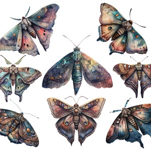 Celestial moth png, Luna moth art, Watercolor butterfly clipart, Butterfly png, Butterfly art, Watercolor clipart, Deathhead moth png image 2