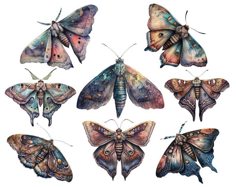 Celestial moth png, Luna moth art, Watercolor butterfly clipart, Butterfly png, Butterfly art, Watercolor clipart, Deathhead moth png image 2