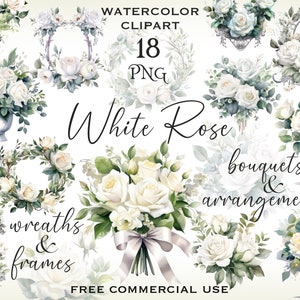 Weiße Rose Clipart, Aquarell Rosen png bündel, Hochzeitsblumen Design Bilder, Blumenkranz, Blumenstrauß und Arrangements, freie kommerzielle Nutzung