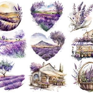 Puede incluir: Ilustraciones de acuarela de campos de lavanda, una tienda de lavanda y una cesta de lavanda. Las ilustraciones est&aacute;n en un estilo suave y rom&aacute;ntico y presentan una variedad de tonos de morado, verde y azul.