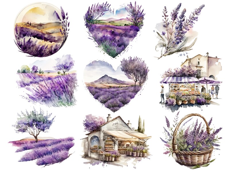 Puede incluir: Ilustraciones de acuarela de campos de lavanda, una tienda de lavanda y una cesta de lavanda. Las ilustraciones est&aacute;n en un estilo suave y rom&aacute;ntico y presentan una variedad de tonos de morado, verde y azul.
