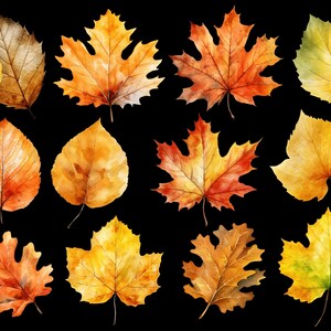 May include: A collection of 14 watercolor painted autumn leaves in various shades of yellow, orange, red, and green. The leaves are isolated on a black background.