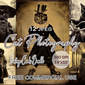 photographie de chat vintage, carte imprimable chats drôles, clipart pour amoureux des chats, portraits éphémères de chat, photographie noir et blanc, usage commercial gratuit