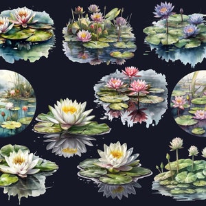 Pu&ograve; includere: Dipinto ad acquerello di diversi fiori di loto in diverse tonalit&agrave; di rosa, bianco e blu. I fiori di loto sono raffigurati in uno scenario di stagno con foglie di loto e foglie verdi. Alcuni fiori di loto sono in fiore, mentre altri sono in bocciolo.