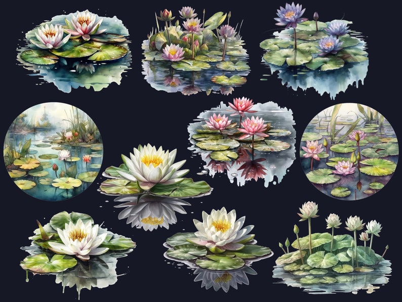 Pu&ograve; includere: Dipinto ad acquerello di diversi fiori di loto in diverse tonalit&agrave; di rosa, bianco e blu. I fiori di loto sono raffigurati in uno scenario di stagno con foglie di loto e foglie verdi. Alcuni fiori di loto sono in fiore, mentre altri sono in bocciolo.